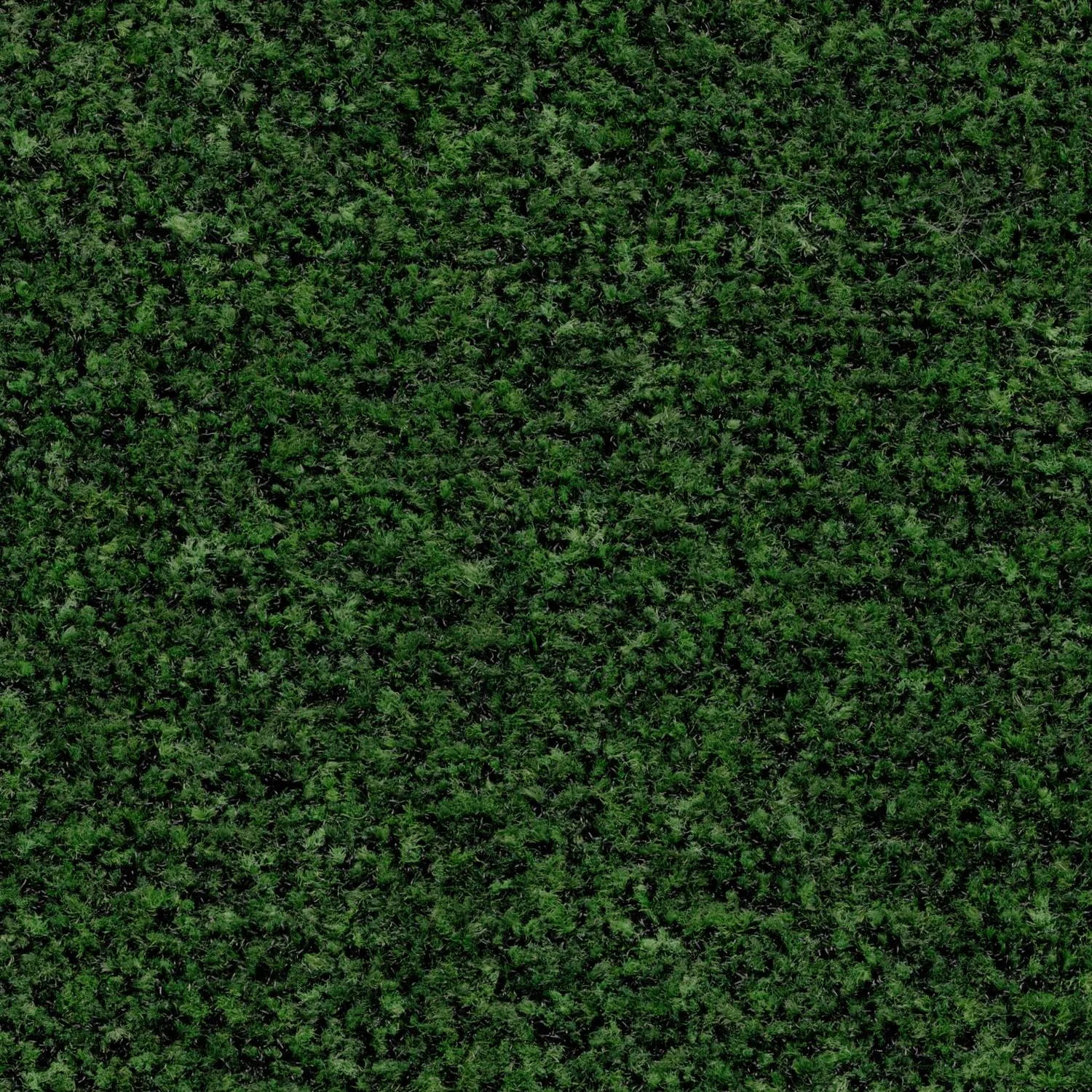 CORAL Brush Mat 5708 Avocado Green 135 x 205cm
